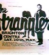 stranglers